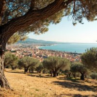 Le parc Estienne d’Orves, l’oliveraie panoramique au cœur de Nice