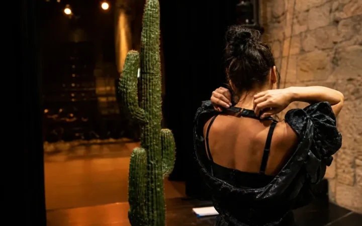 De Vence à Avignon, Laetitia Gonzalbes transforme la marâtre en héroïne